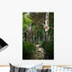 Path Forest