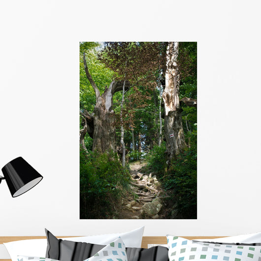Path Forest