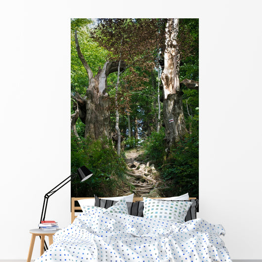 Path Forest