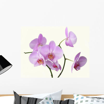 Pink Orchid Flowers Wall Decal shown on a wall