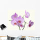 Pink Orchid Flowers Wall Decal