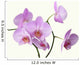 Pink Orchid Flowers Wall Decal