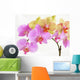 Bunches of Multicolour Orchids Wall Decal