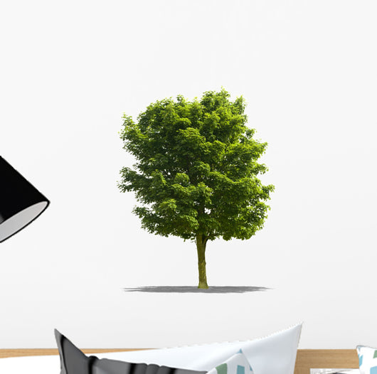 Arbre Sur Fond Blanc Wall Decal