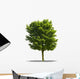 Arbre Sur Fond Blanc Wall Decal