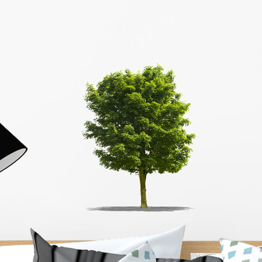 Arbre Sur Fond Blanc Wall Decal