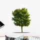 Arbre Sur Fond Blanc Wall Decal