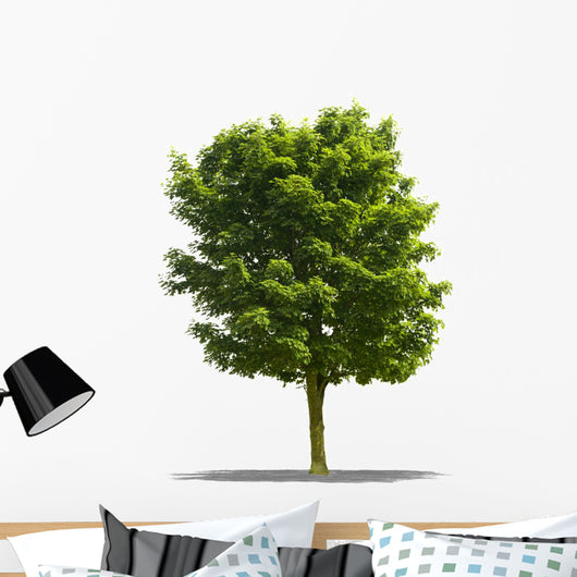 Arbre Sur Fond Blanc Wall Decal