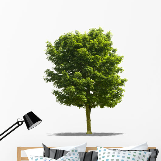 Arbre Sur Fond Blanc Wall Decal