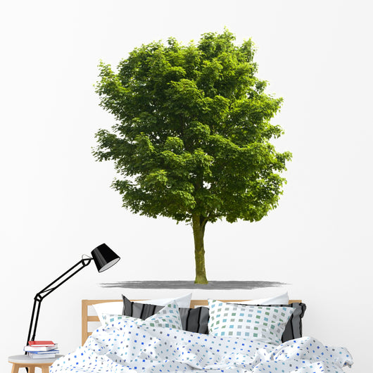 Arbre Sur Fond Blanc Wall Decal