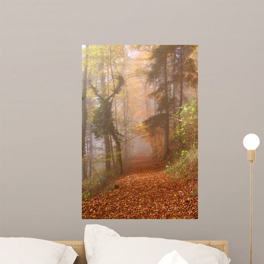 Autumn Alsace Wall Mural