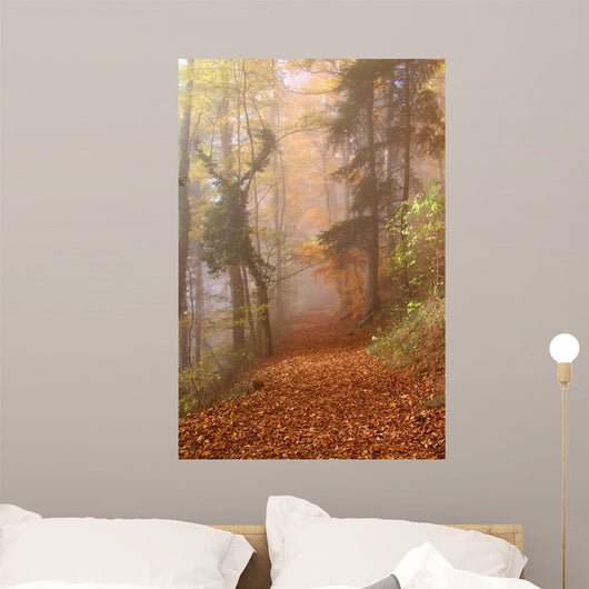Autumn Alsace Wall Mural