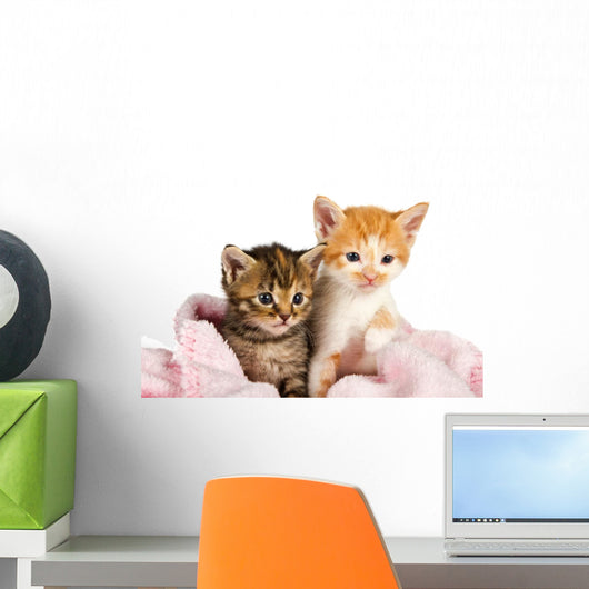 Two Kittens Wrapped Pink Wall Decal