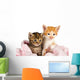Two Kittens Wrapped Pink Wall Decal