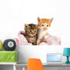 Two Kittens Wrapped Pink Wall Decal