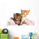 Two Kittens Wrapped Pink Wall Decal