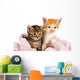 Two Kittens Wrapped Pink Wall Decal