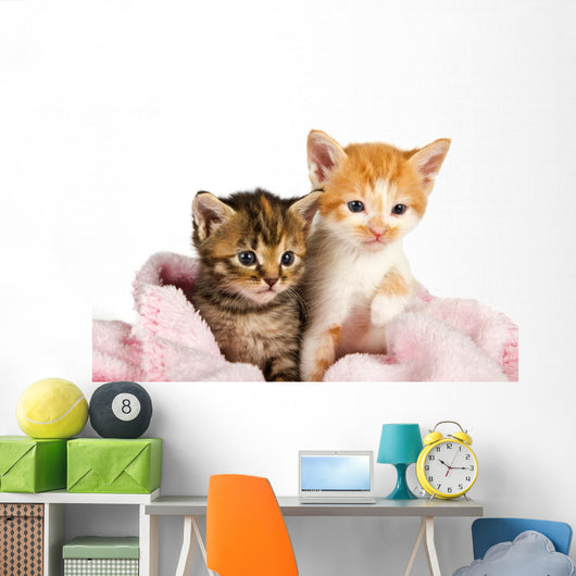 Two Kittens Wrapped Pink Wall Decal