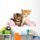 Two Kittens Wrapped Pink Wall Decal