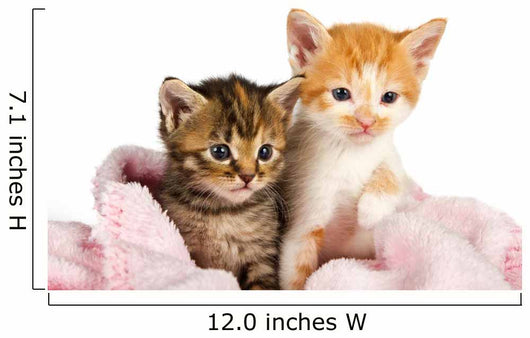 Two Kittens Wrapped Pink Wall Decal