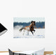 Brown Horse Runs Winter