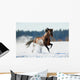 Brown Horse Runs Winter