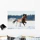 Brown Horse Runs Winter