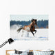 Brown Horse Runs Winter