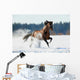 Brown Horse Runs Winter