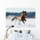 Brown Horse Runs Winter