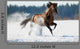 Brown Horse Runs Winter