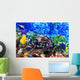 Coral and fish in the Red Sea. Egypt Wall Mural