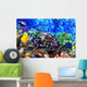 Coral and fish in the Red Sea. Egypt Wall Mural
