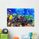 Coral and fish in the Red Sea. Egypt Wall Mural