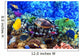 Coral and fish in the Red Sea. Egypt Wall Mural