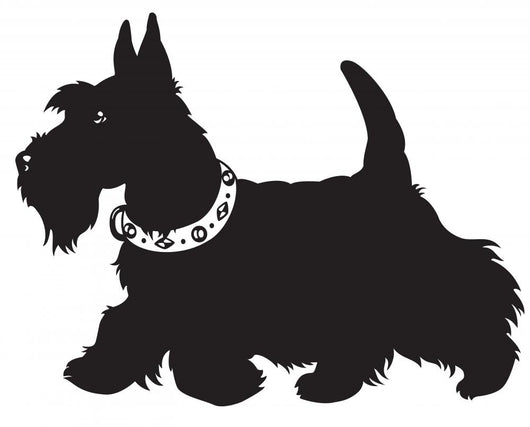 scottish terrier black and white Wall Decal