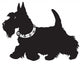 scottish terrier black and white Wall Decal