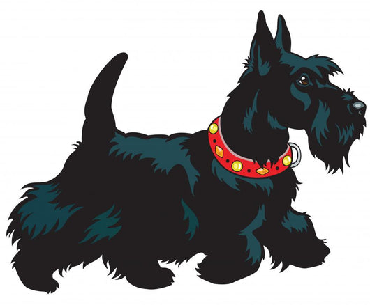 scottish terrier dog Wall Decal