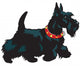 scottish terrier dog Wall Decal
