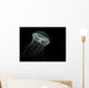 Ribbed Medusa Jelly Fish Wall Decal