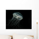 Ribbed Medusa Jelly Fish Wall Decal