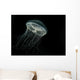 Ribbed Medusa Jelly Fish Wall Decal