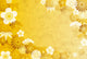 Japanese Pattern