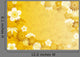 Japanese Pattern