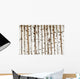 Birch Wood Texture