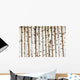 Birch Wood Texture