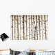 Birch Wood Texture