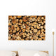 Pile Logs for Fire