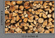 Pile Logs for Fire
