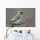 Bohemian Waxwing Perched Twig
